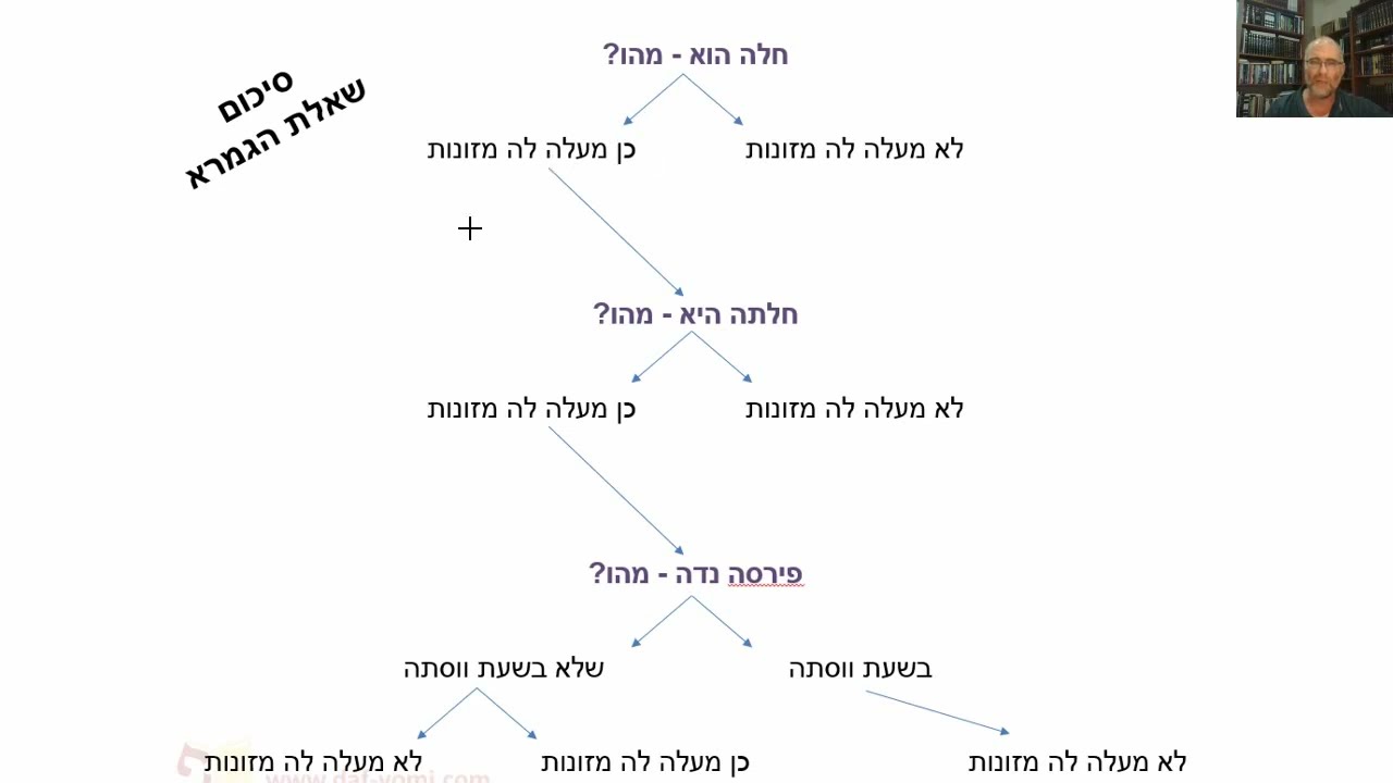 Read more about the article דף ב