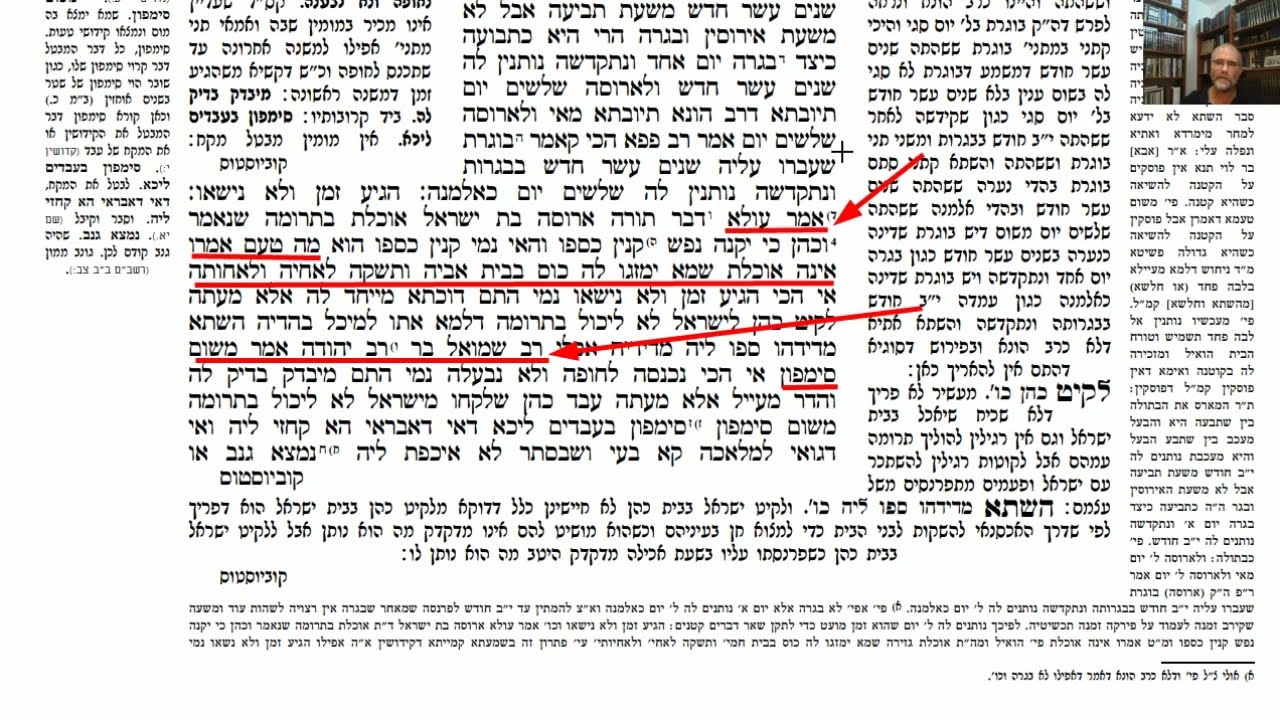 Read more about the article דף נח