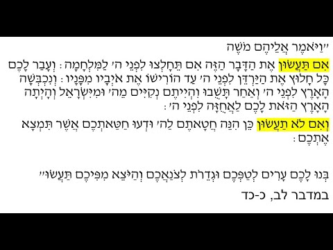 Read more about the article דף עד
