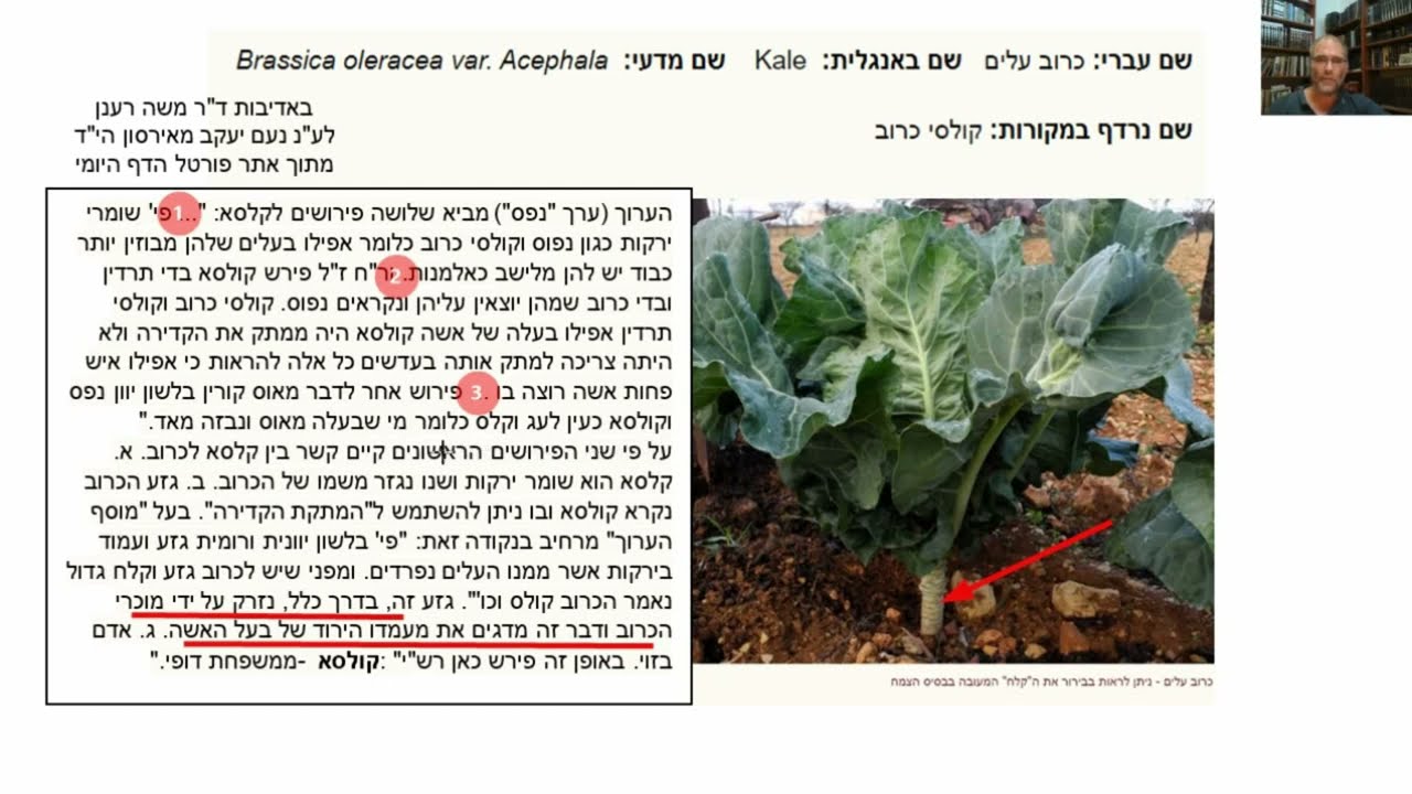 Read more about the article דף עה