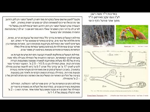 Read more about the article דף עא