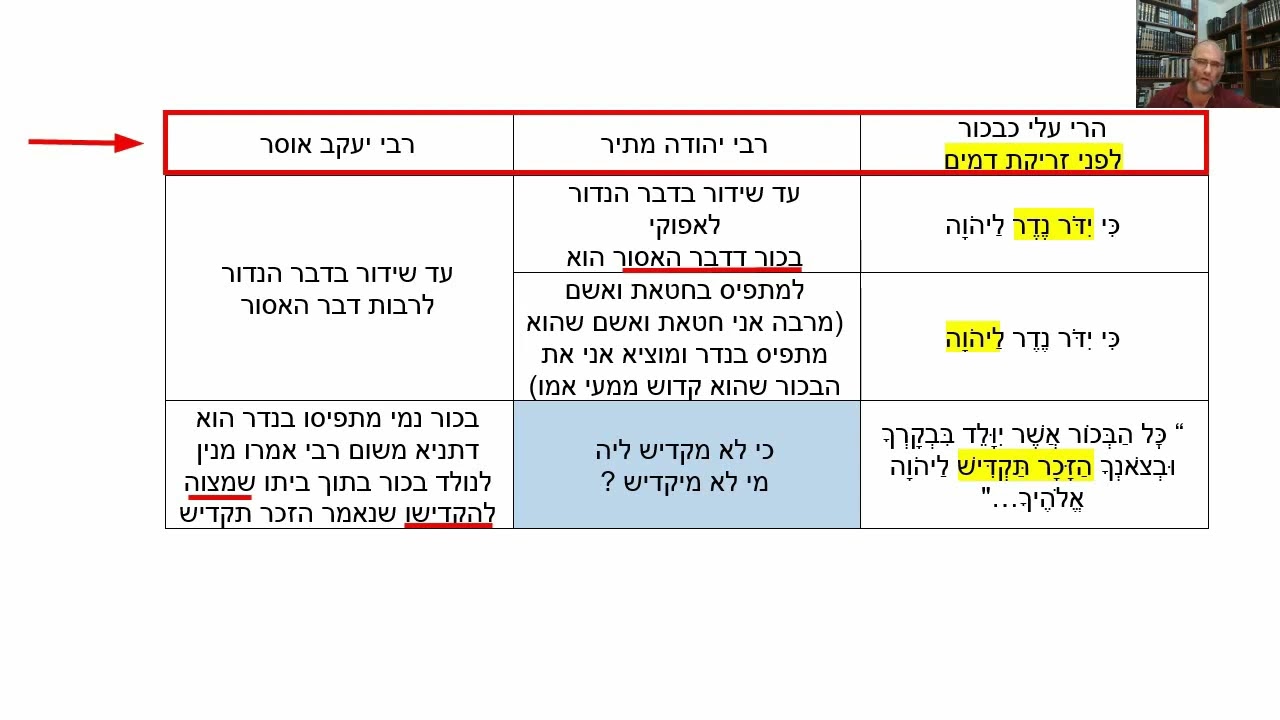 Read more about the article דף יג