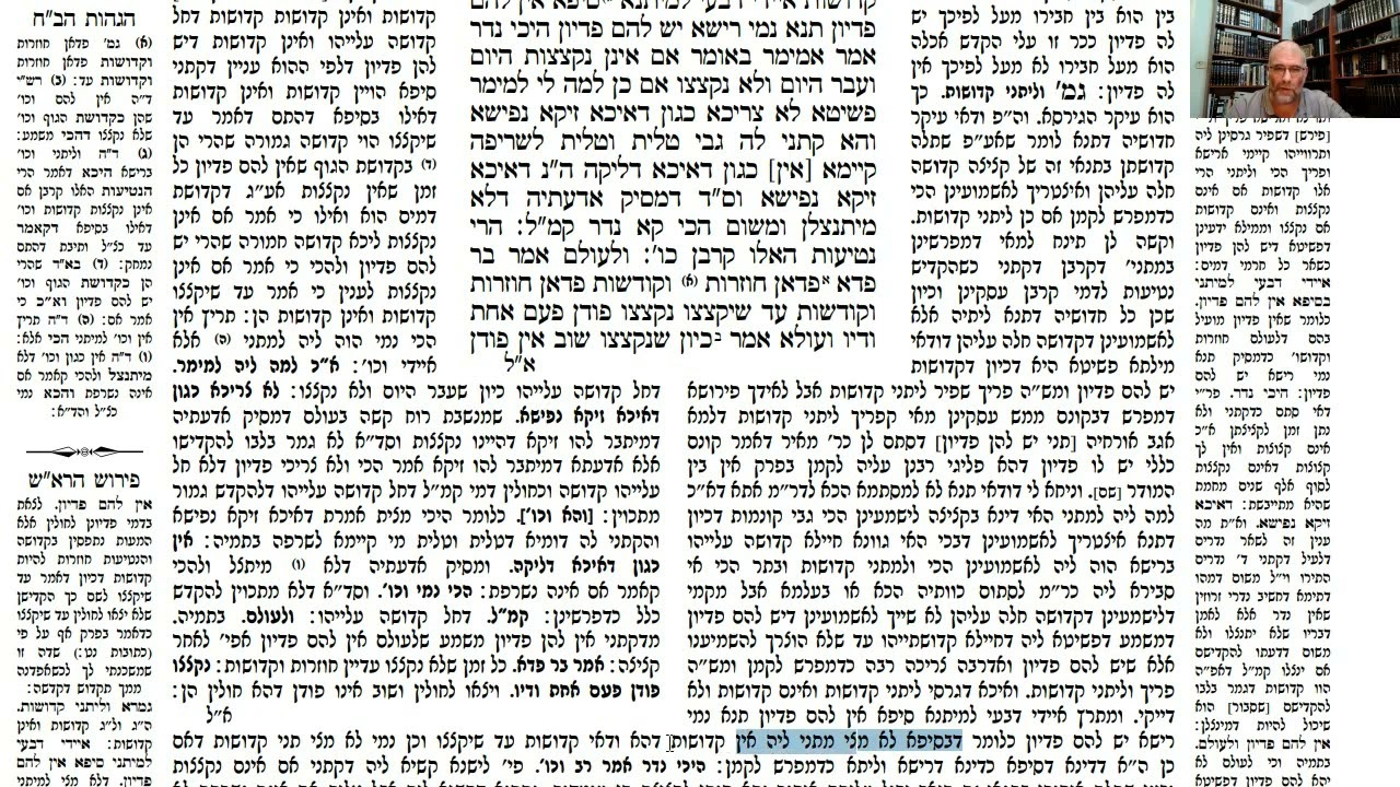 Read more about the article דף כח