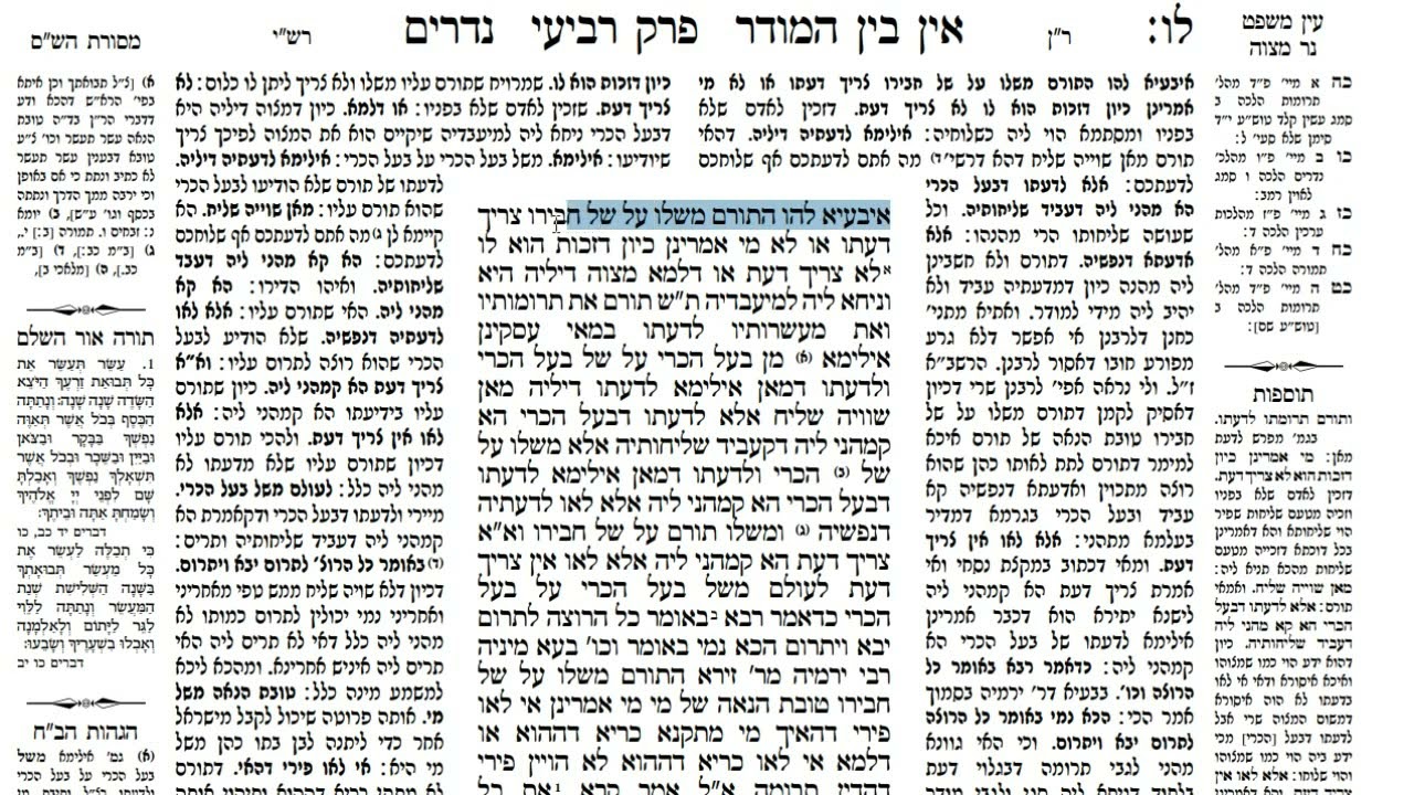 Read more about the article דף לו