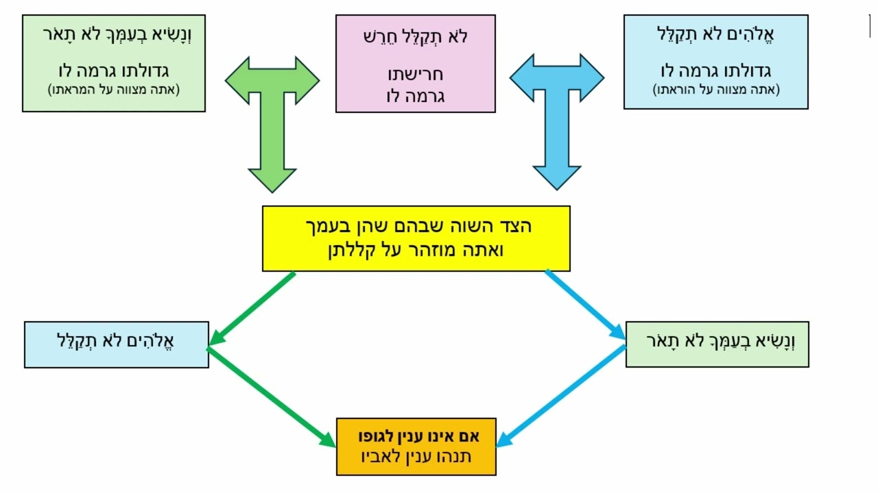 Read more about the article דף סו