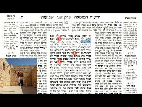 Read more about the article דף יז
