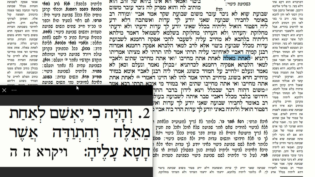 Read more about the article דף כה