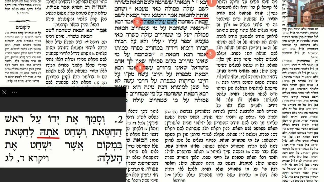 Read more about the article דף ז