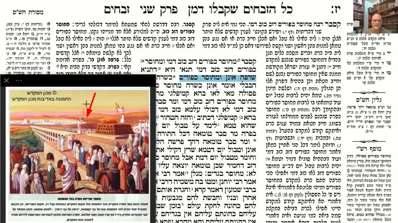 Read more about the article דף יז