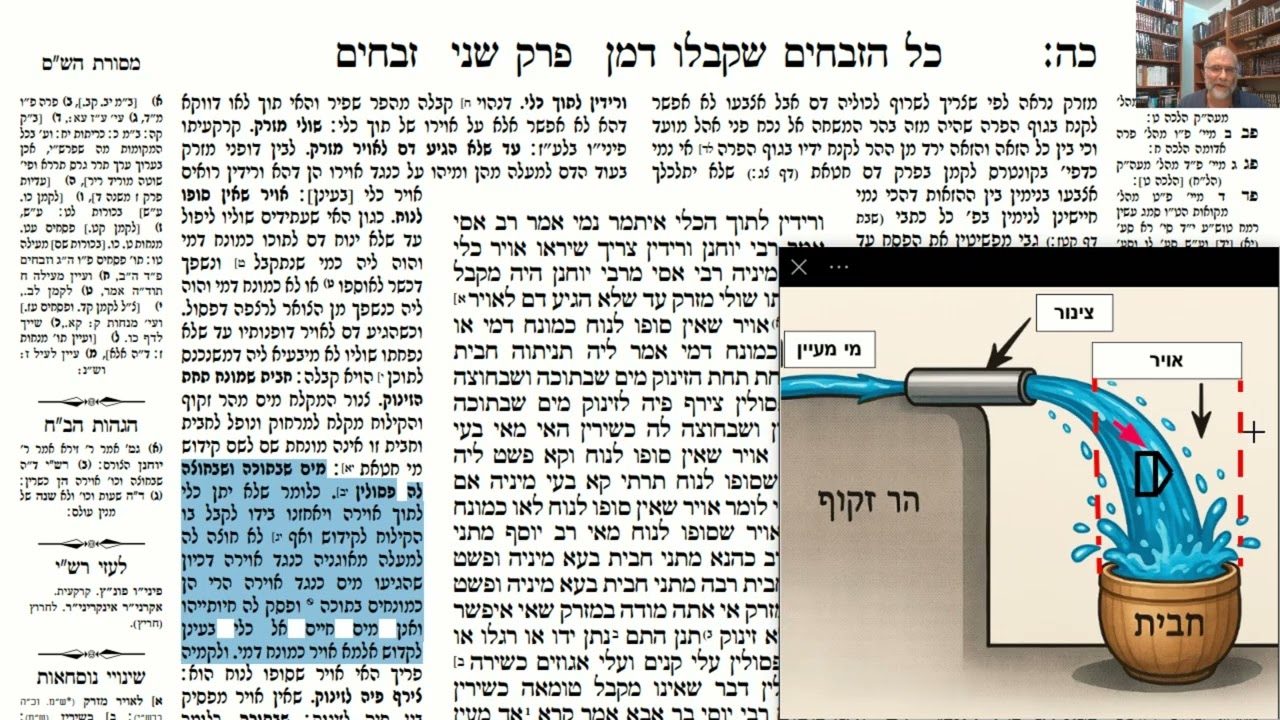 Read more about the article דף כה