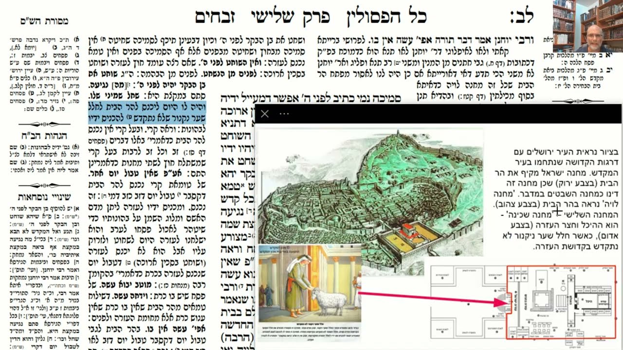 Read more about the article דף לב