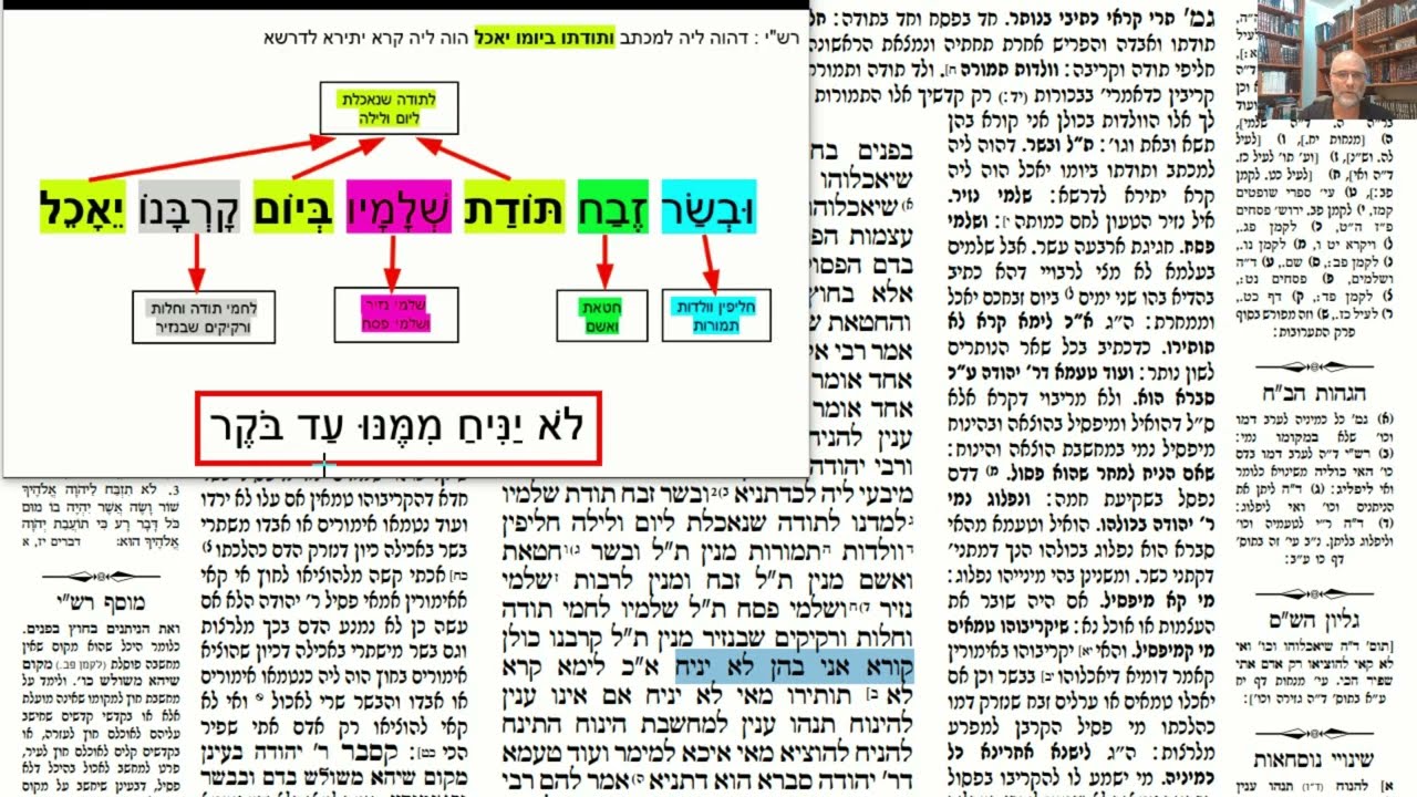 Read more about the article דף לו