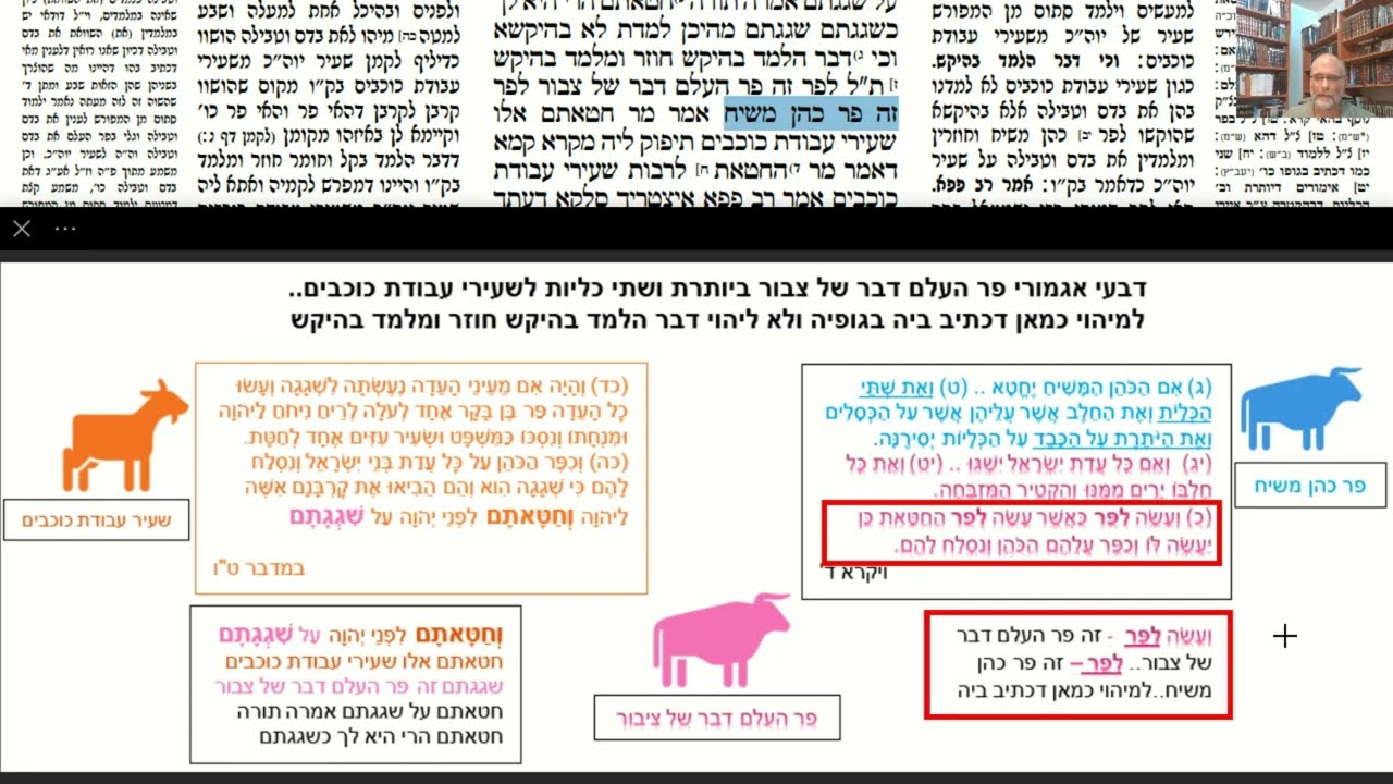 Read more about the article דף מא