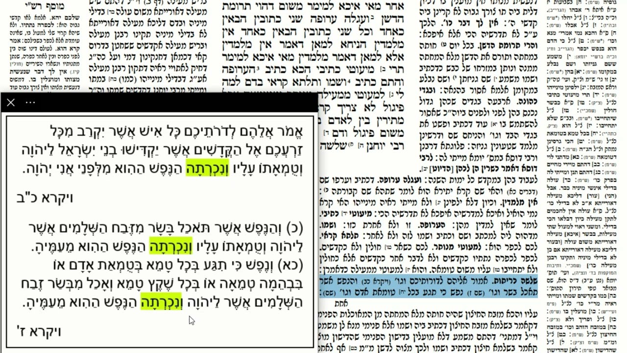 Read more about the article דף מו
