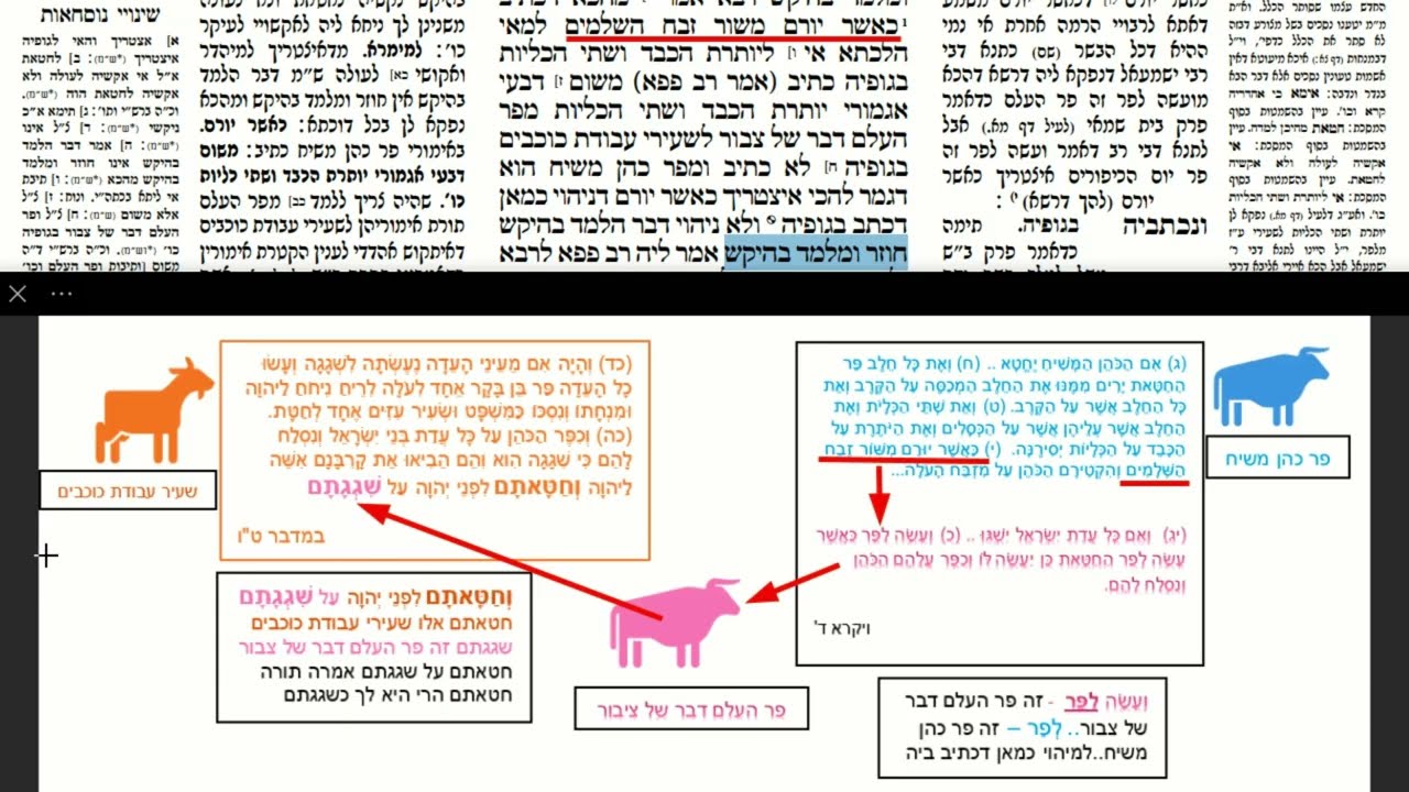 Read more about the article דף מט
