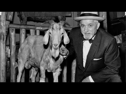 Read more about the article דף ע