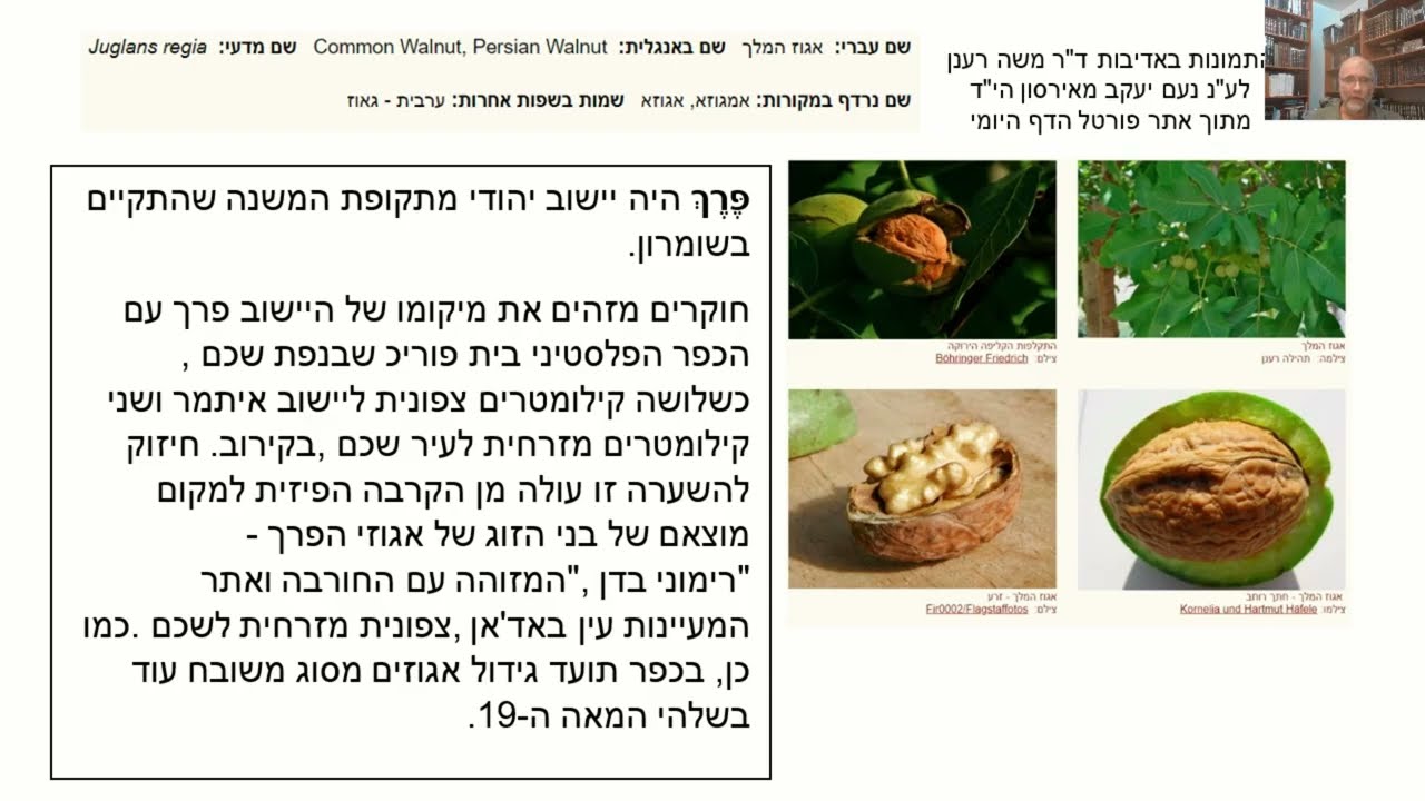 Read more about the article דף עב