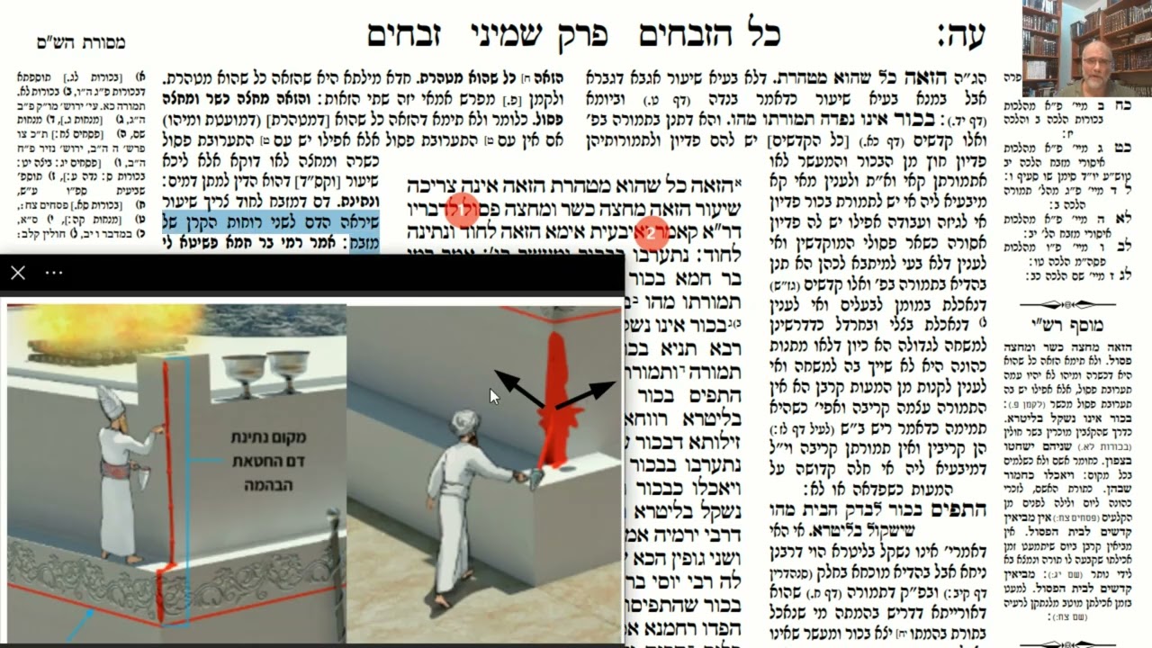 Read more about the article דף עה