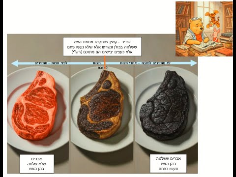 Read more about the article דף פו