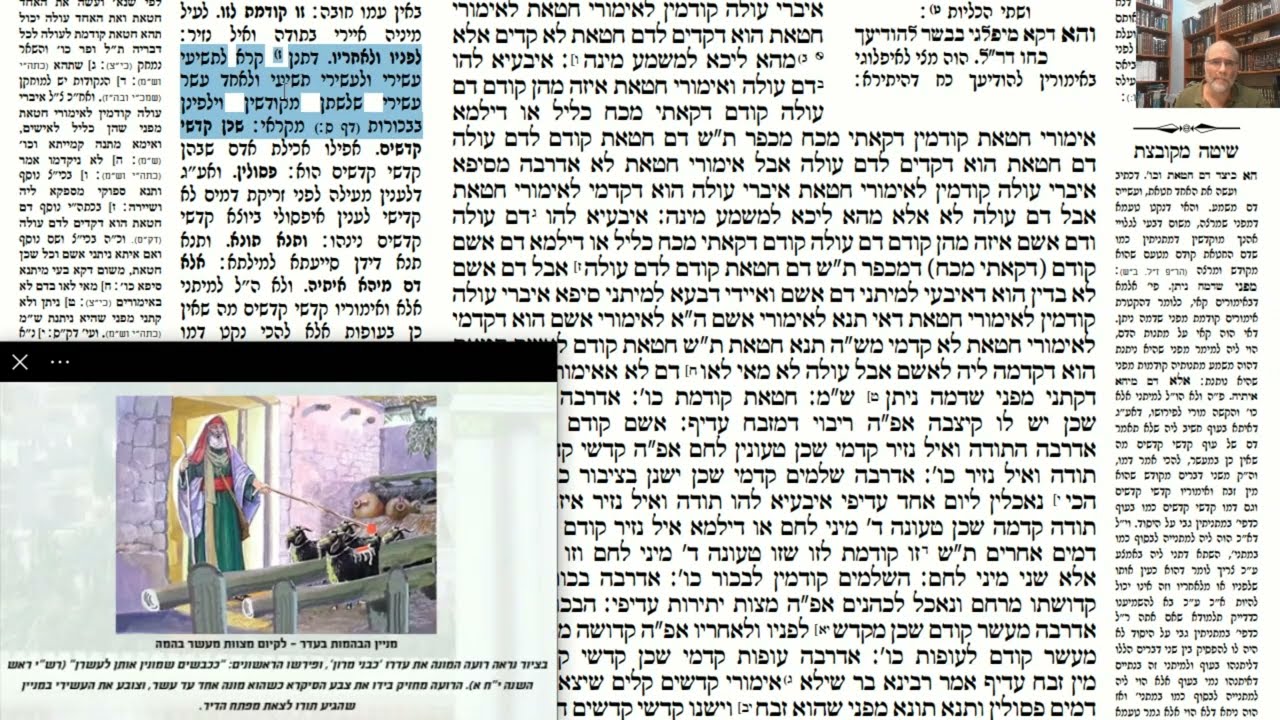 Read more about the article דף פט