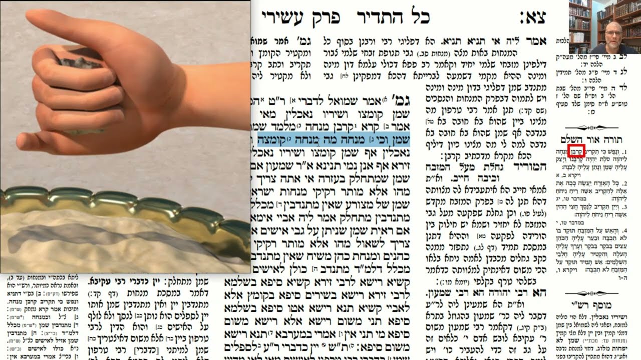 Read more about the article דף צא