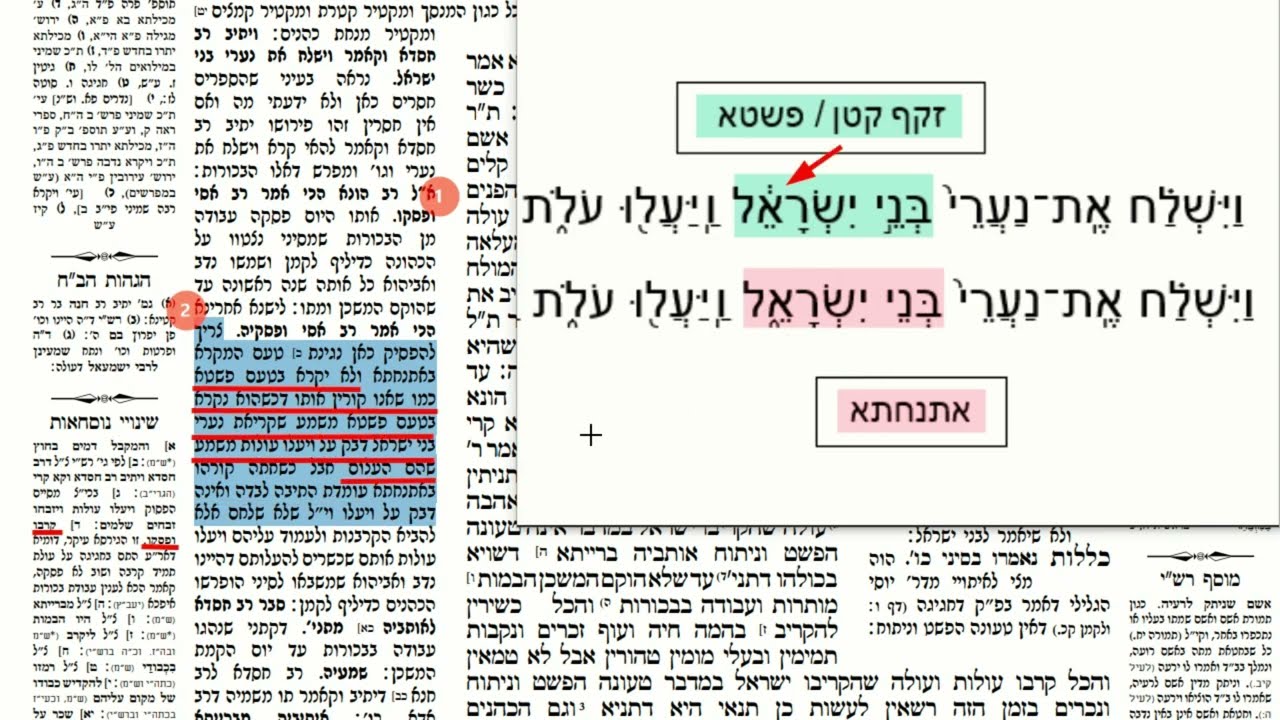 Read more about the article דף קטו