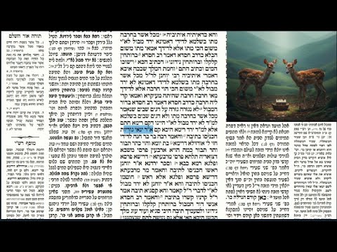 Read more about the article דף קיג