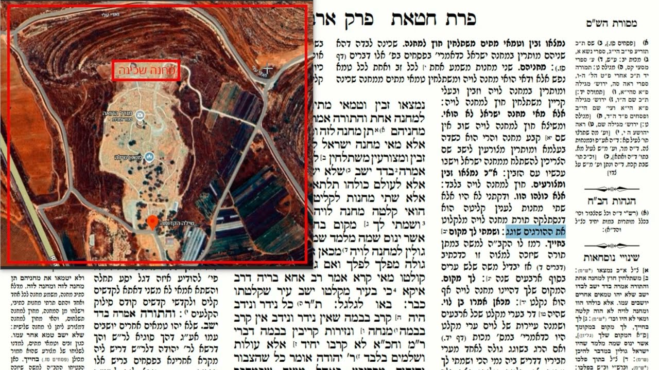 Read more about the article דף קיז