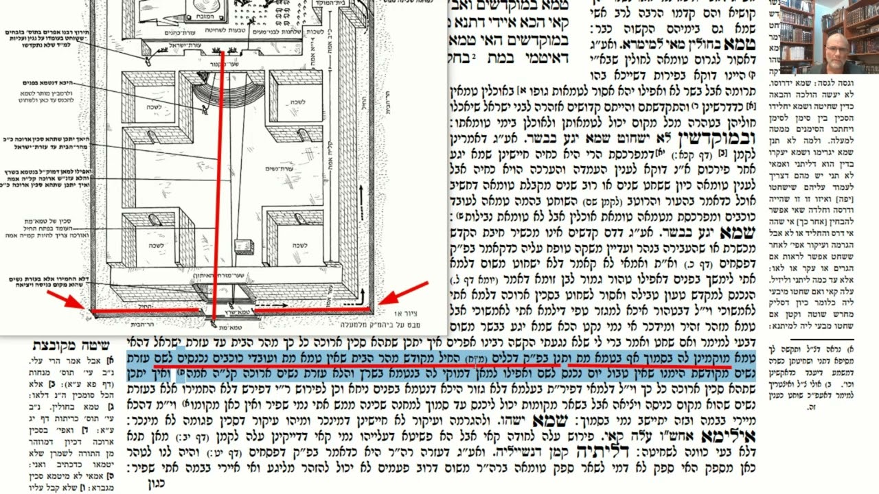 Read more about the article דף ב