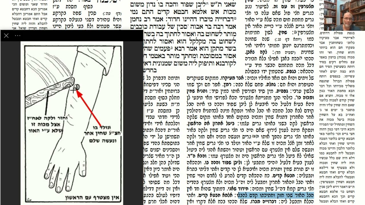 Read more about the article דף ח