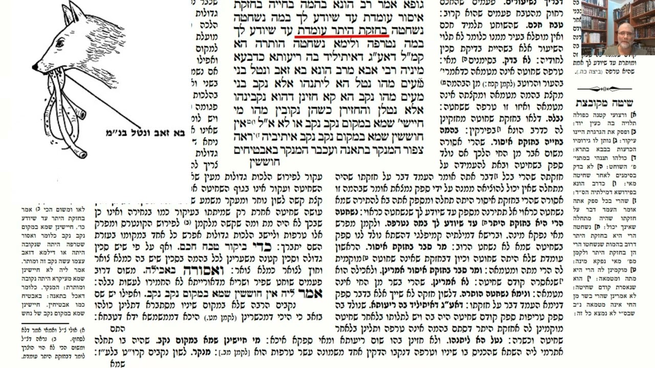 You are currently viewing דף ט