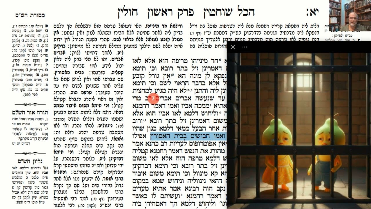 Read more about the article דף יא