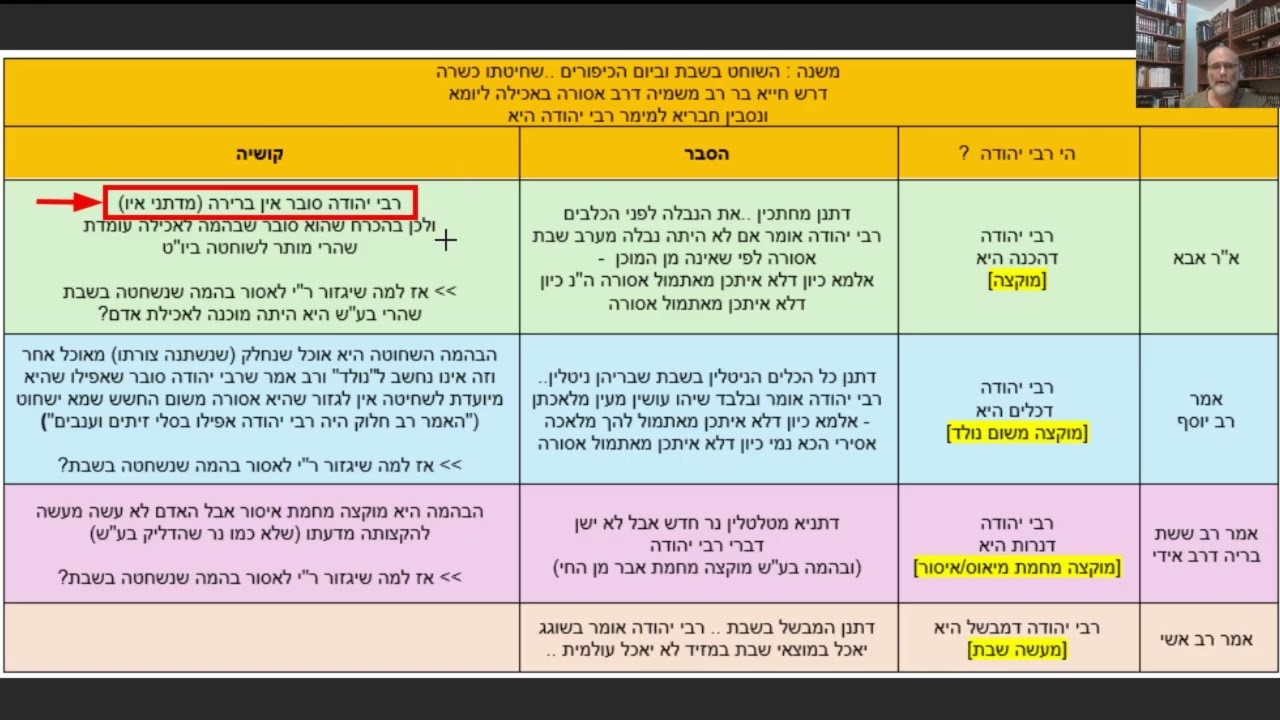 Read more about the article דף יד