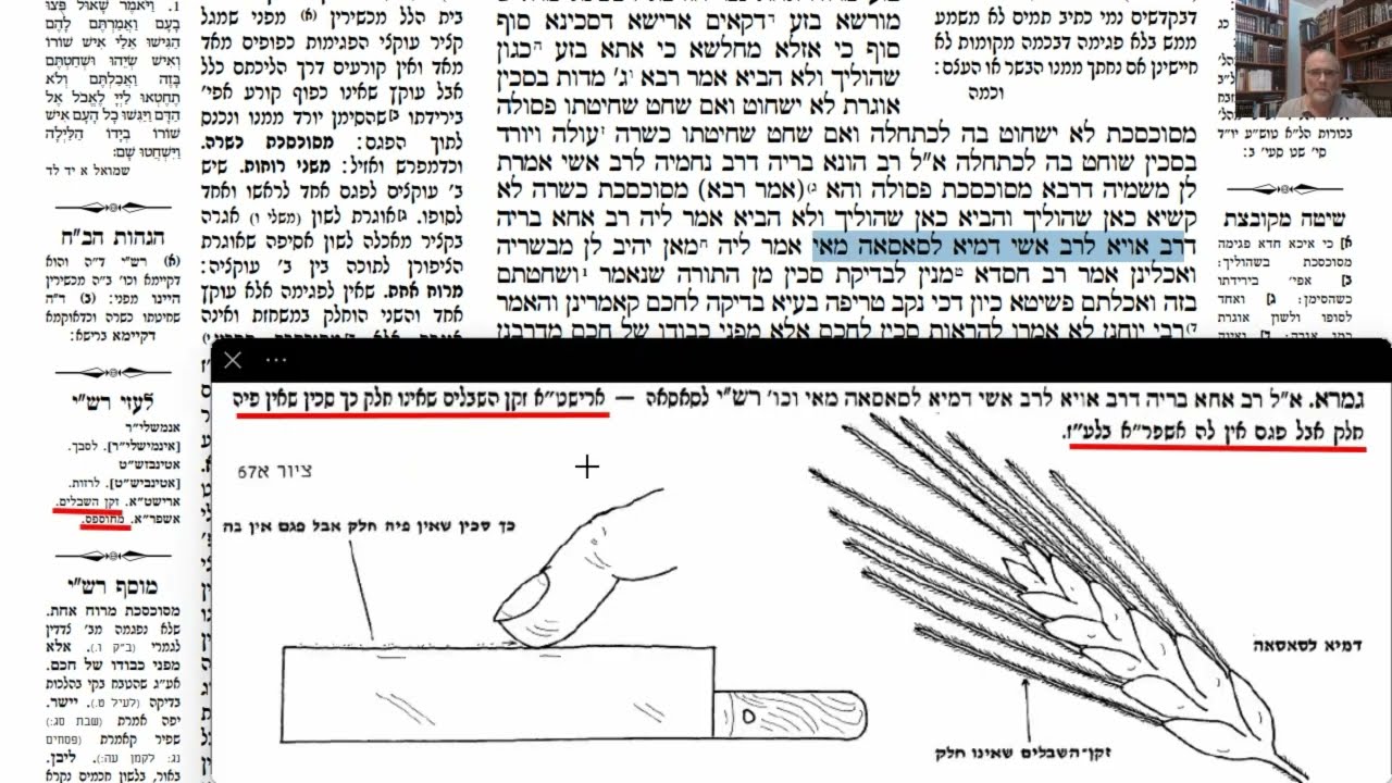 Read more about the article דף יז