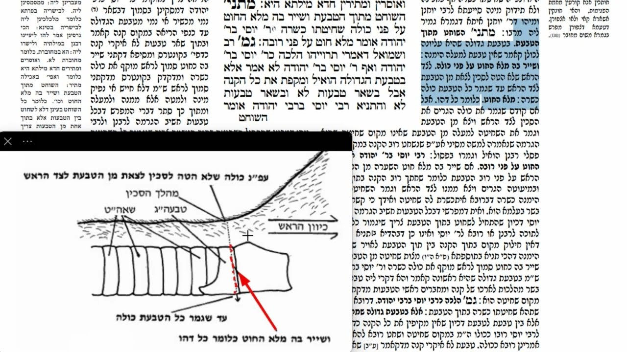 Read more about the article דף יח