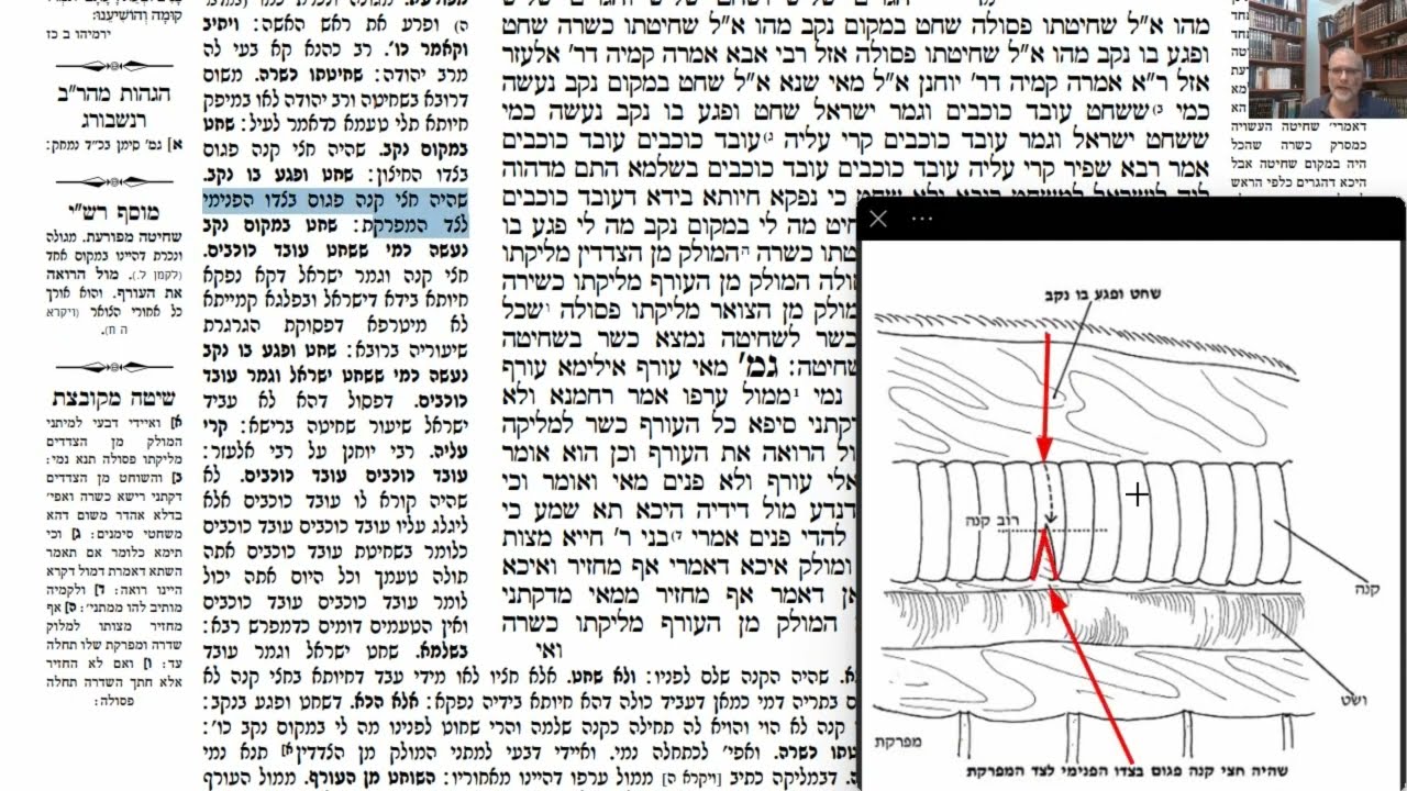 Read more about the article דף יט
