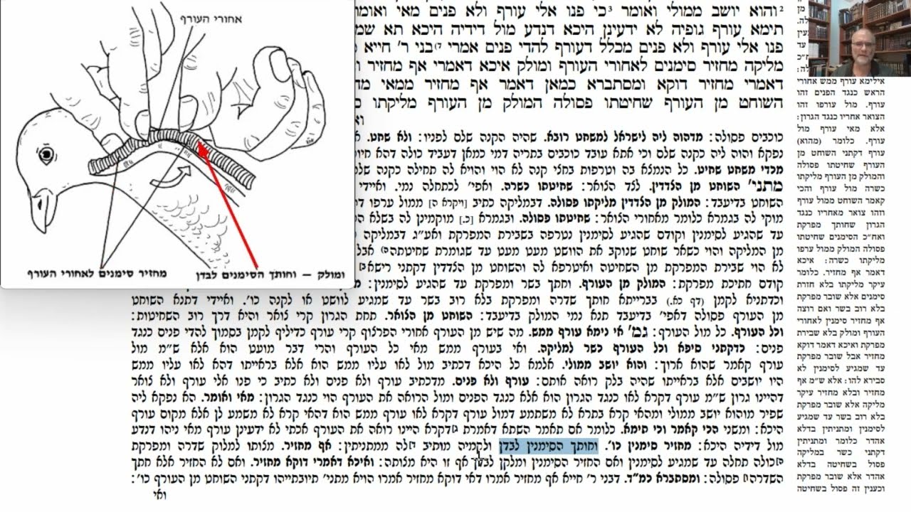 Read more about the article דף כ