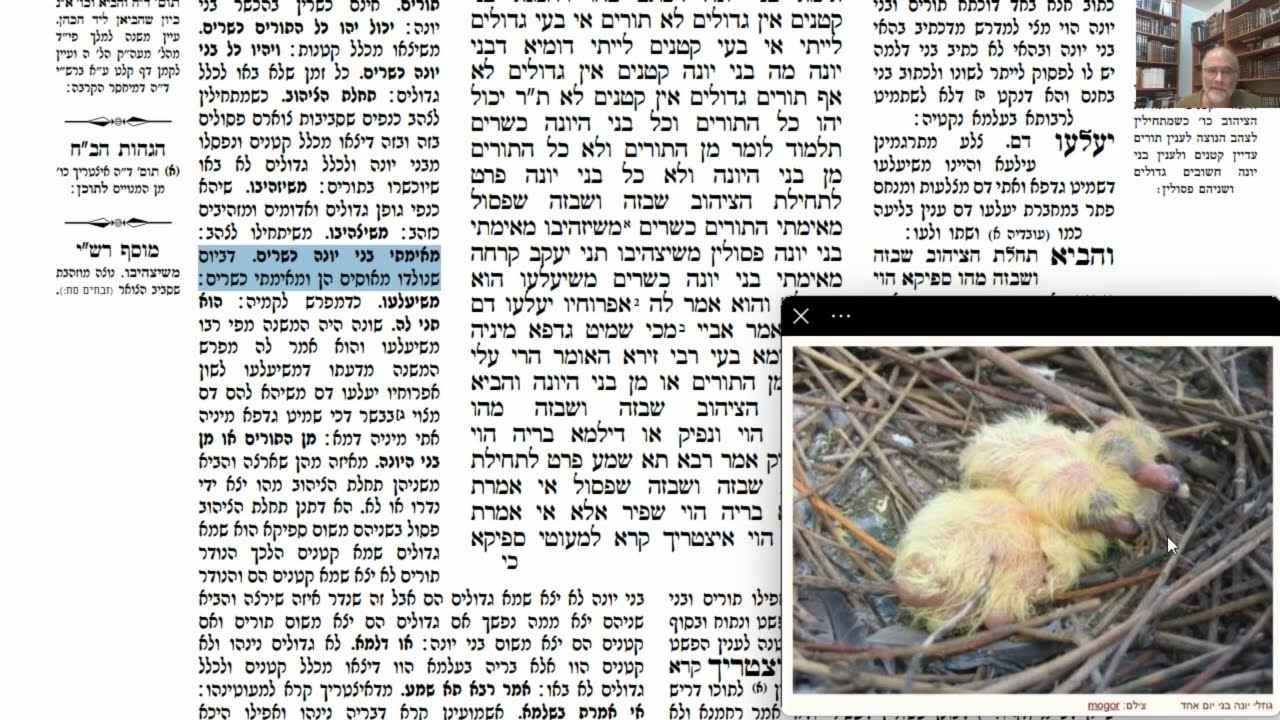 Read more about the article דף כב