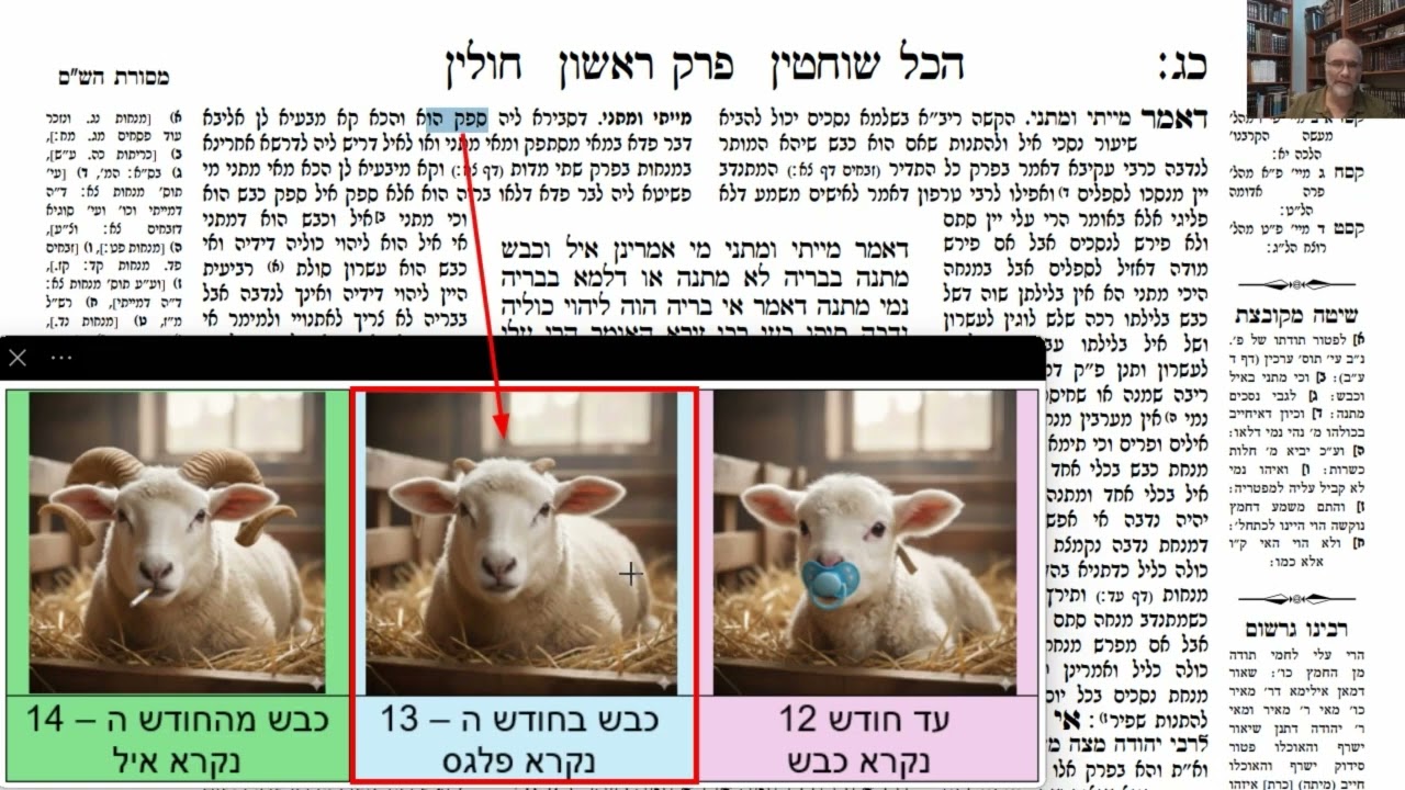 Read more about the article דף כג