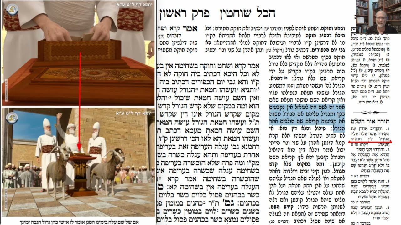 Read more about the article דף כד