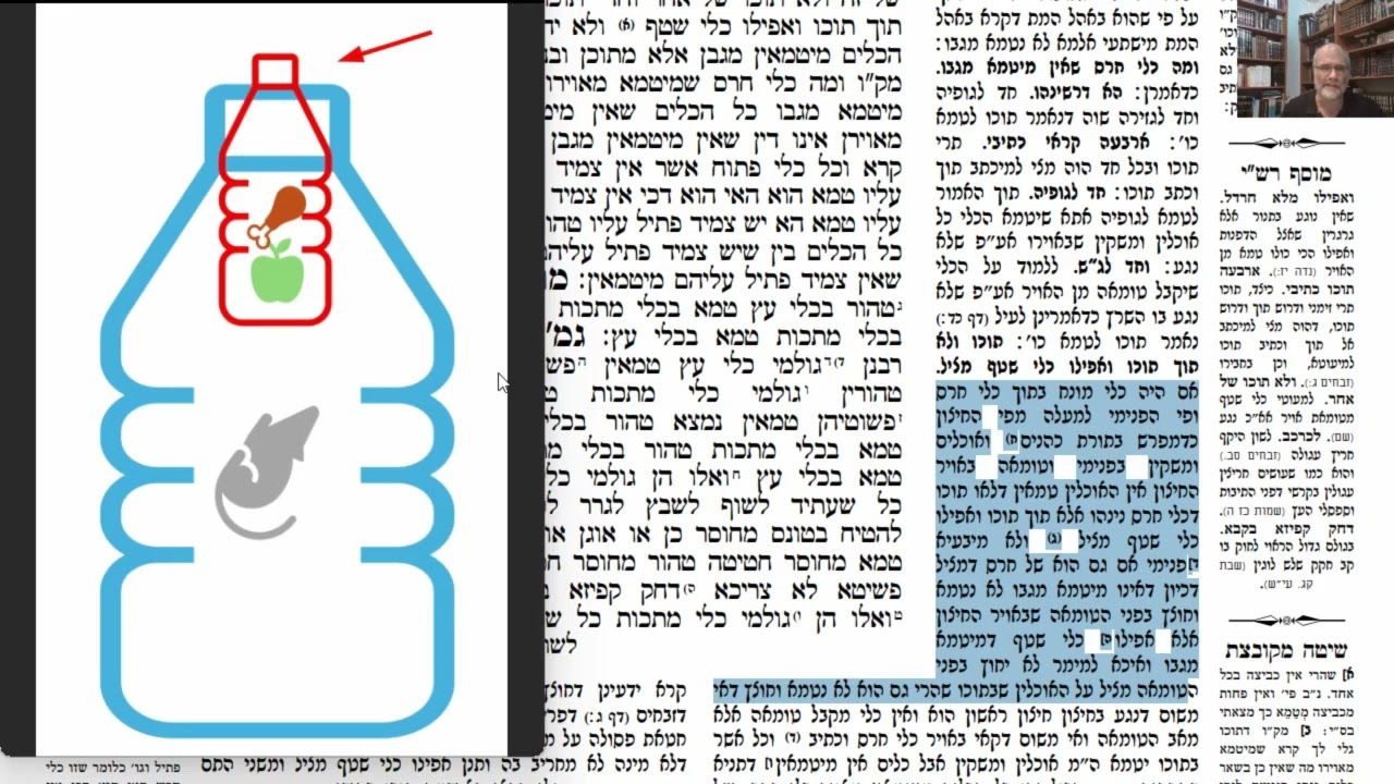 Read more about the article דף כה