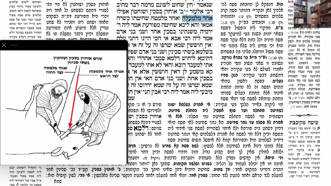 Read more about the article דף ל