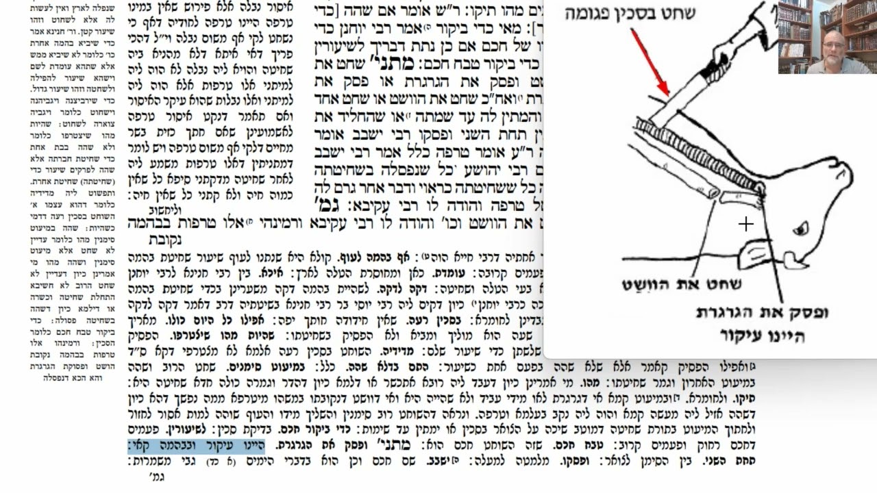 Read more about the article דף לב