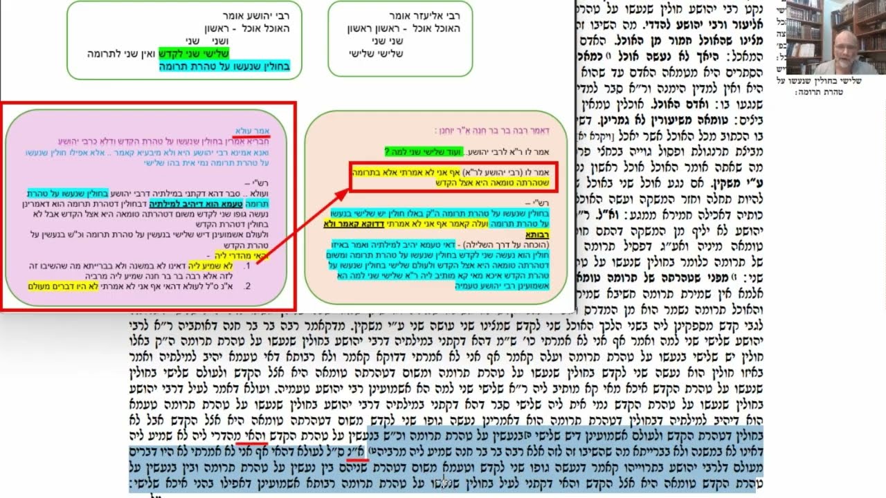 Read more about the article דף לד