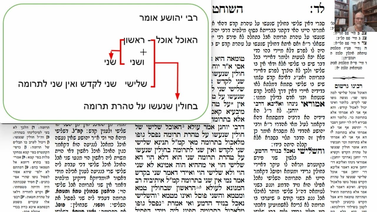 Read more about the article דף לה