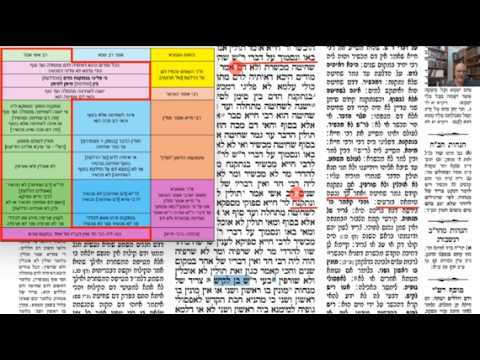 Read more about the article דף לו