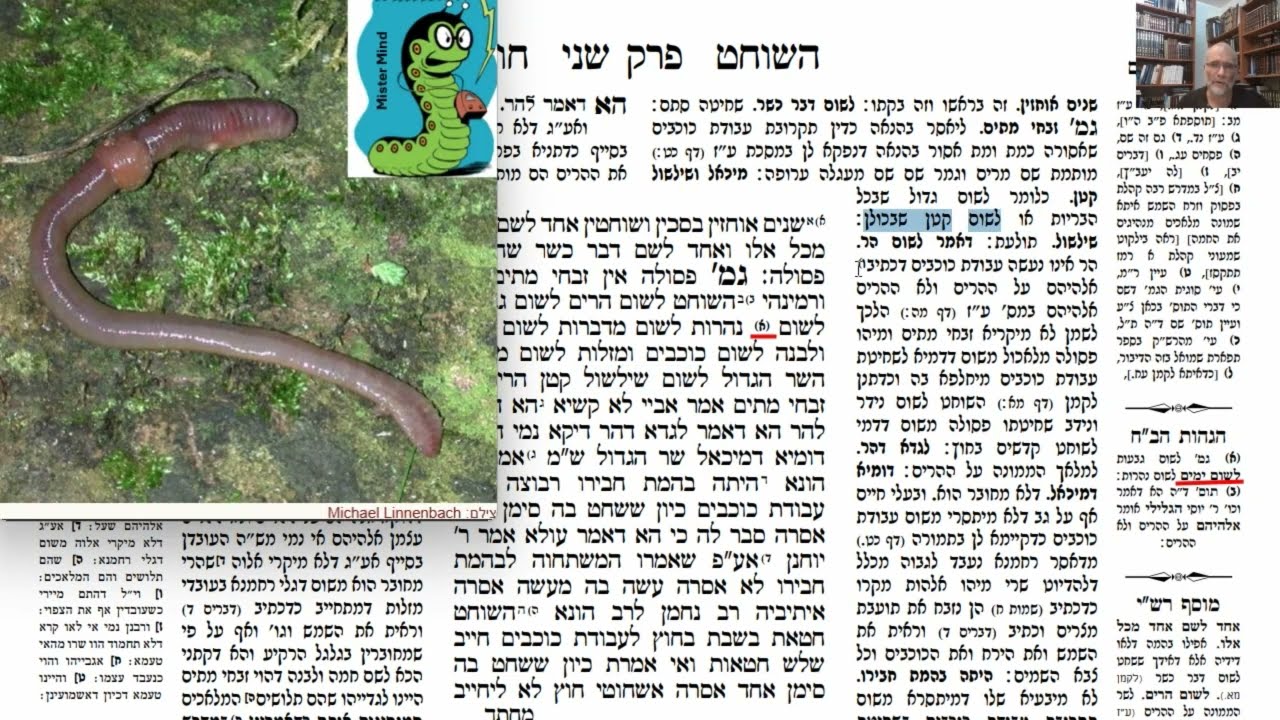 Read more about the article דף מ