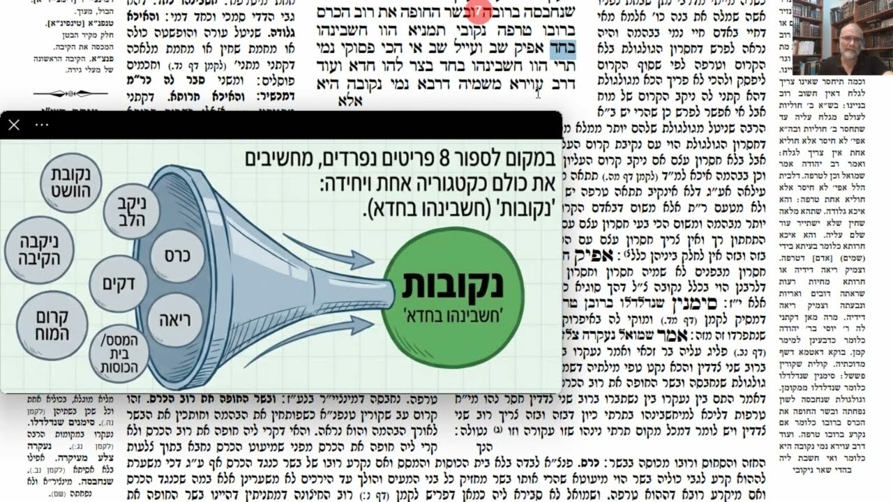 Read more about the article דף מב