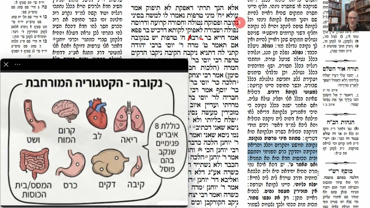 Read more about the article דף מג