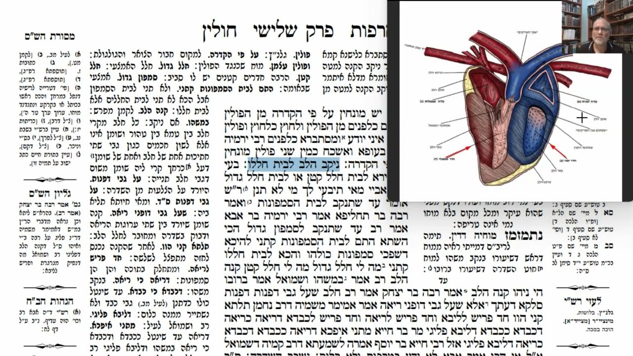 Read more about the article דף מה